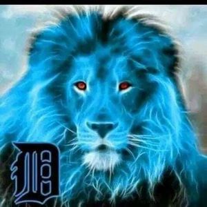 Meet your Posher, Marcus